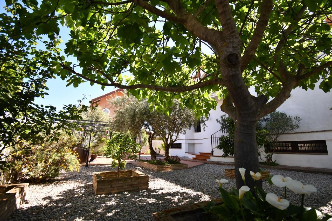 Villa Maria, Piscina Y Spa Exterior Privado Belicena Kültér fotó